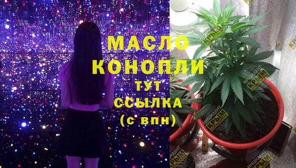 ПСИЛОЦИБИНОВЫЕ ГРИБЫ Магас