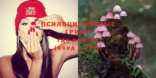 ПСИЛОЦИБИНОВЫЕ ГРИБЫ Магас